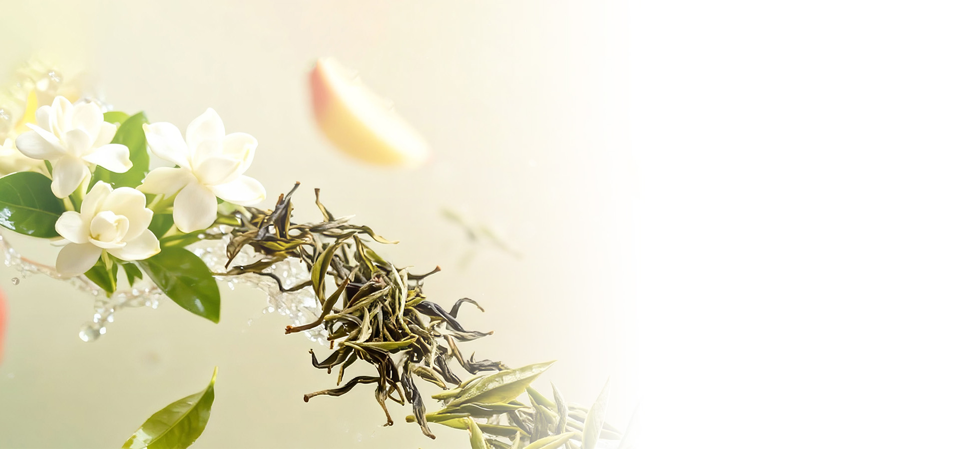 <span>TEA</span> <br />
SERIES